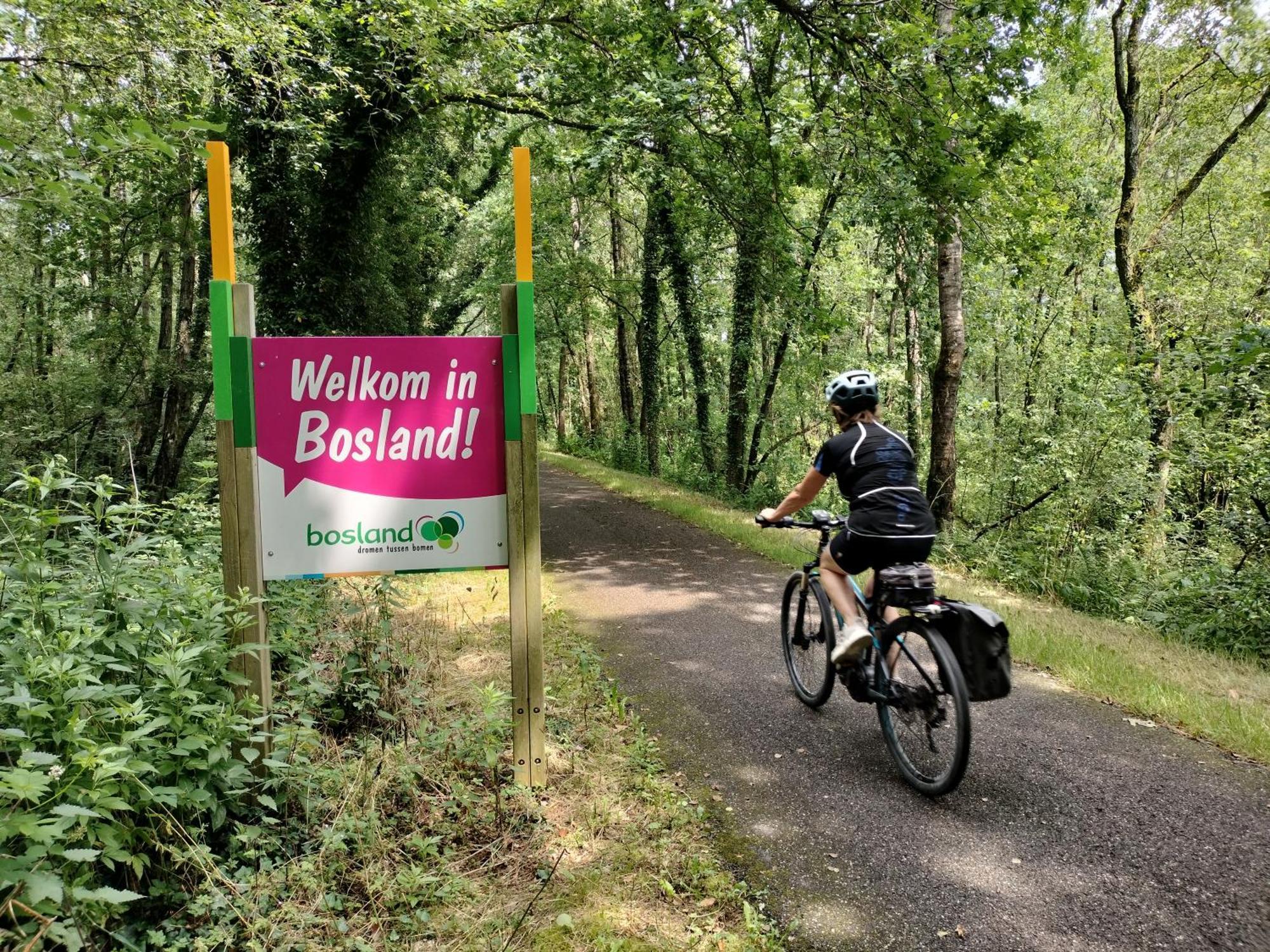 Bosrand81 Apartment Hechtel-Eksel Екстериор снимка